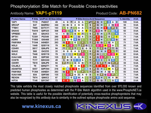 AB-PN682
