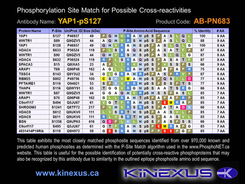 AB-PN683
