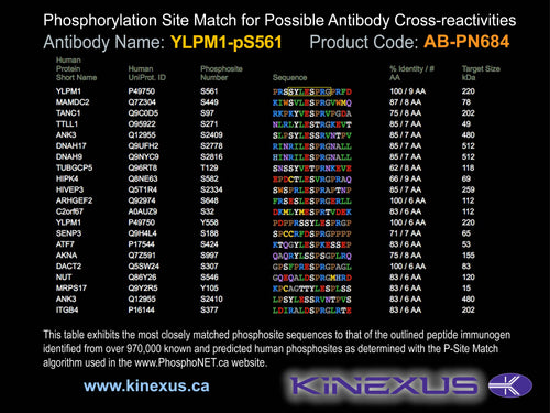AB-PN684