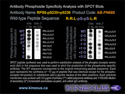 AB-PN685