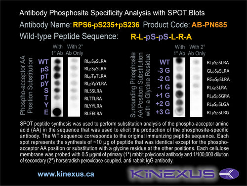 AB-PN685