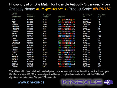 AB-PN687