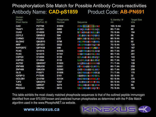 AB-PN691
