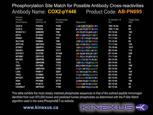 AB-PN695