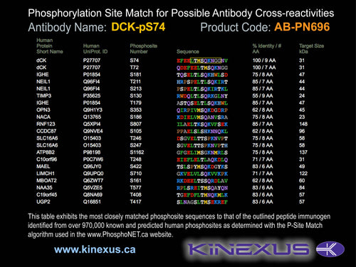 AB-PN696