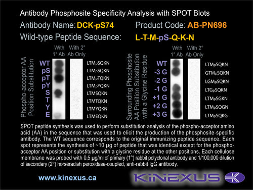 AB-PN696