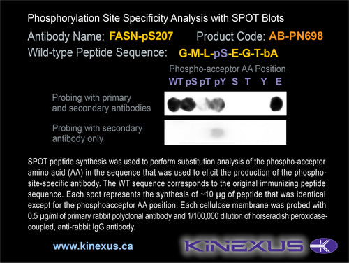 AB-PN698