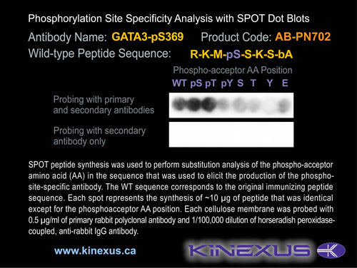 AB-PN702