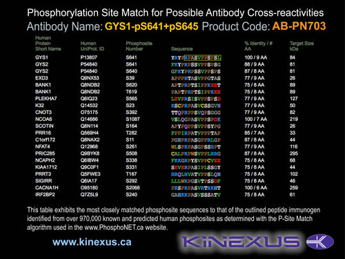 AB-PN703
