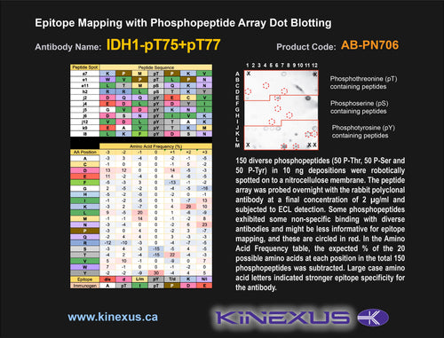 AB-PN706