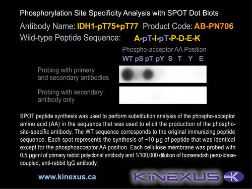AB-PN706