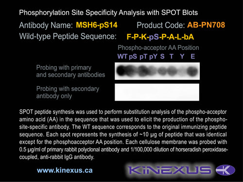 AB-PN708