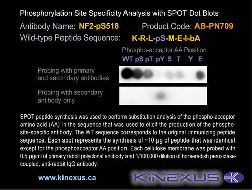 AB-PN709