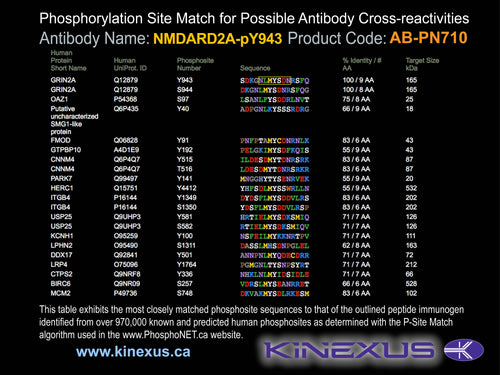 AB-PN710