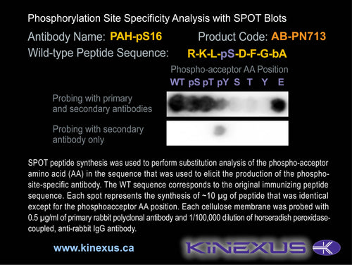 AB-PN713