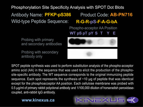 AB-PN716