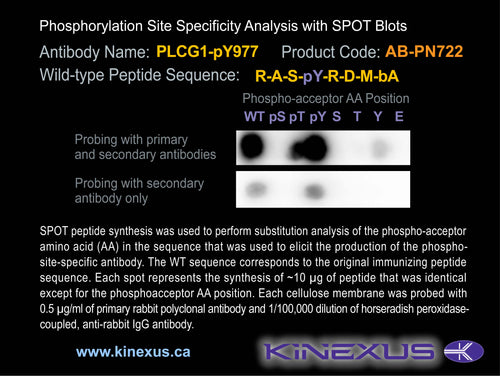 AB-PN722