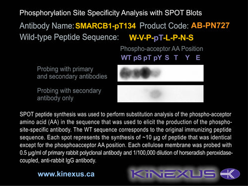 AB-PN727