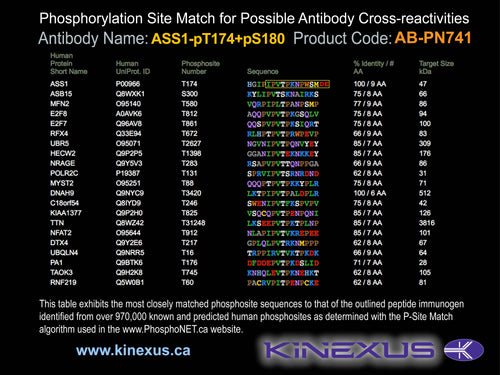 AB-PN741