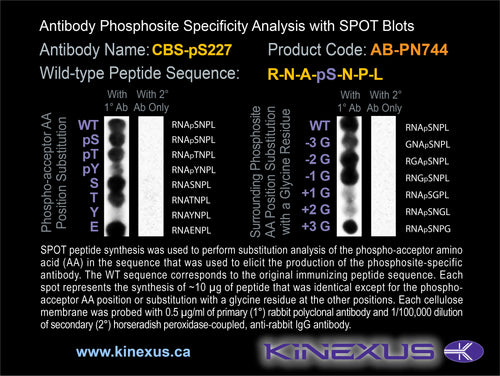 AB-PN744