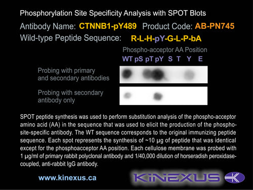 AB-PN745