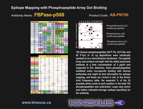 AB-PN750