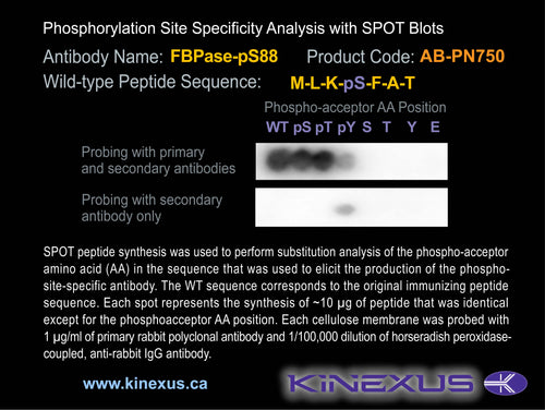 AB-PN750