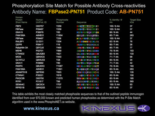 AB-PN751