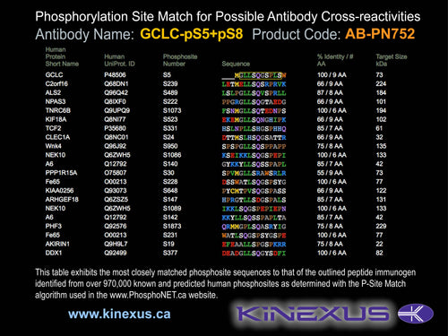 AB-PN752