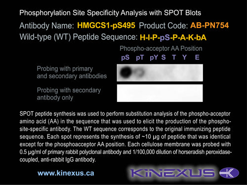 AB-PN754