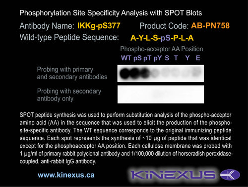 AB-PN758