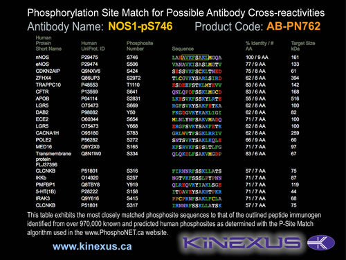 AB-PN762