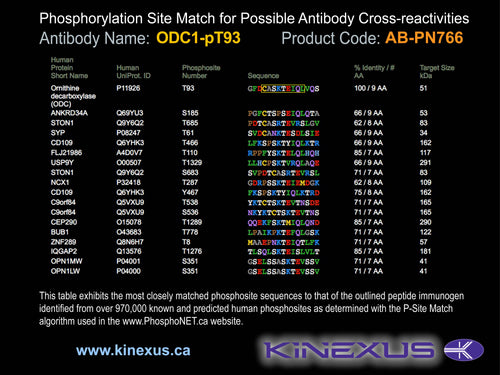 AB-PN766