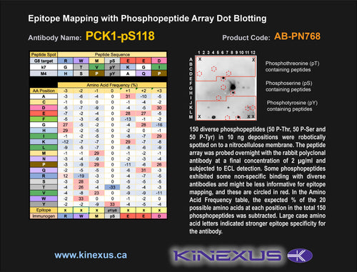 AB-PN768