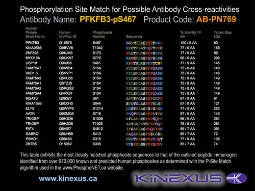 AB-PN769