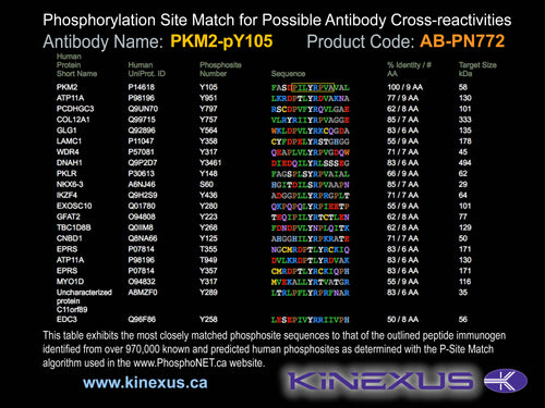 AB-PN772