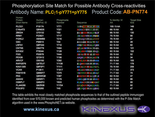 AB-PN774