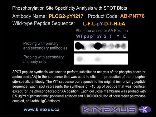 AB-PN776