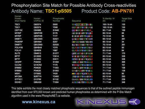 AB-PN781