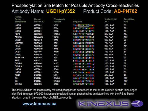 AB-PN782