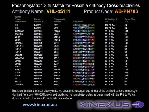 AB-PN783