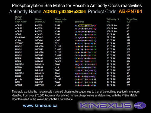 AB-PN784