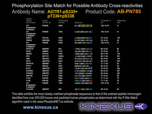 AB-PN785
