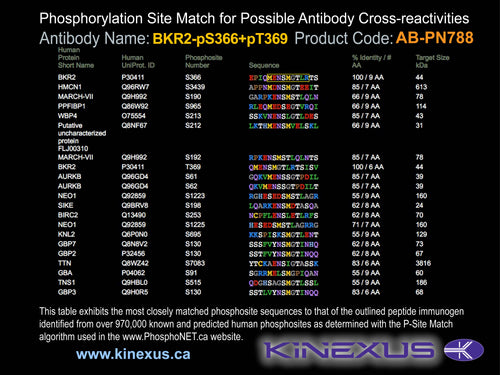 AB-PN788
