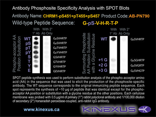AB-PN790