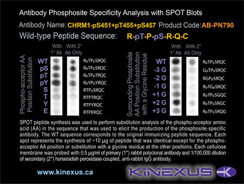 AB-PN790