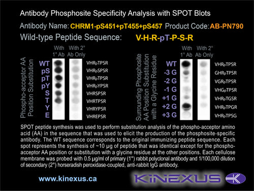 AB-PN790
