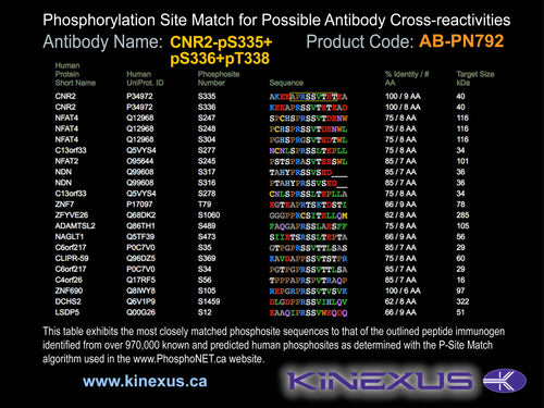 AB-PN792