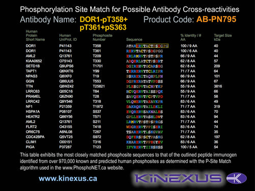 AB-PN795