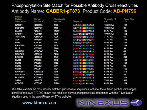 AB-PN796